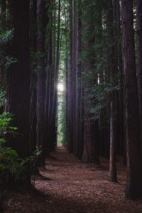 在线观看免费电影天堂推荐高分悬疑电影封面，黑暗城市背景配探照灯光效，1080P高清